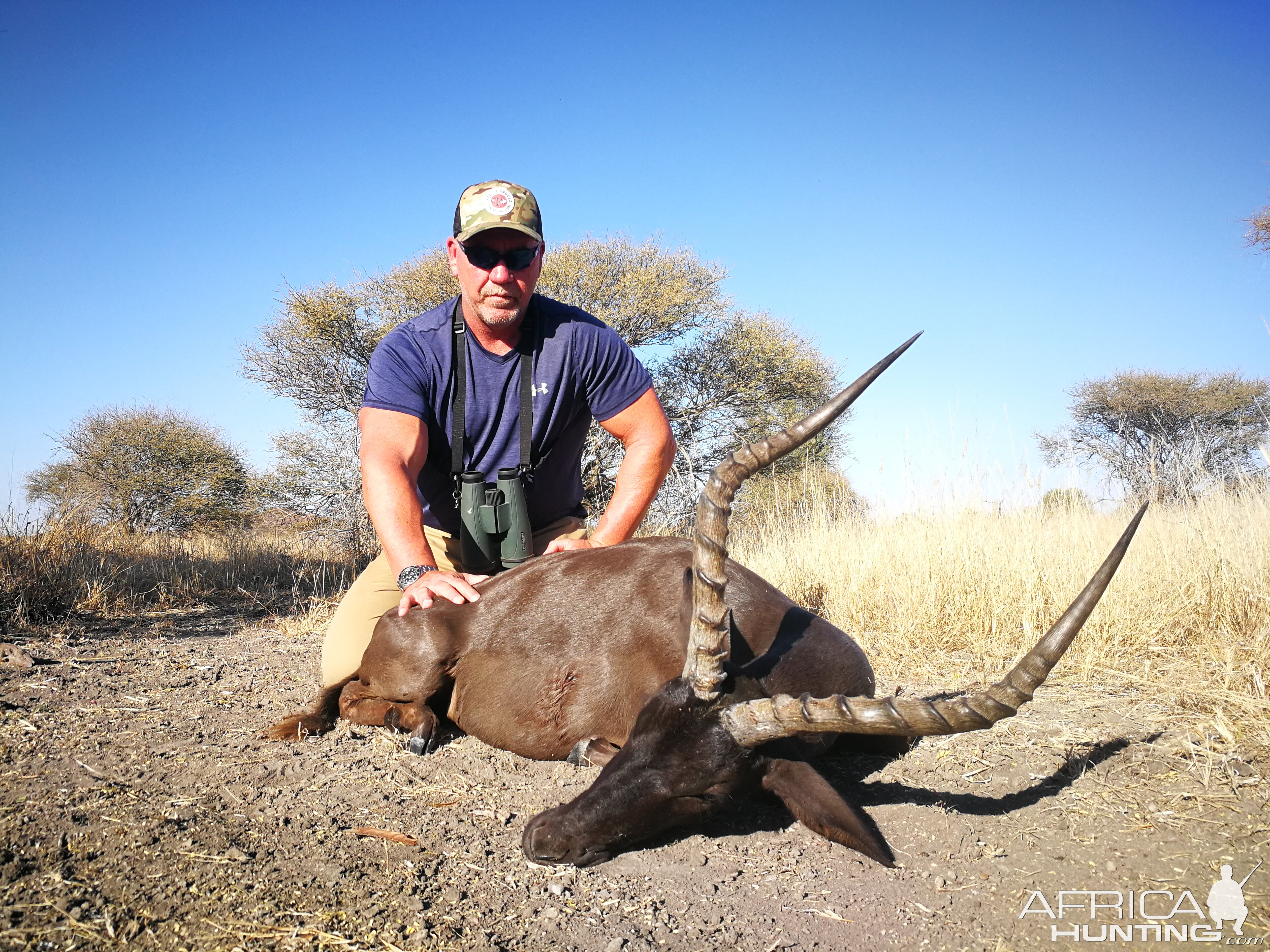 Hunting Black Impala in South Africa
