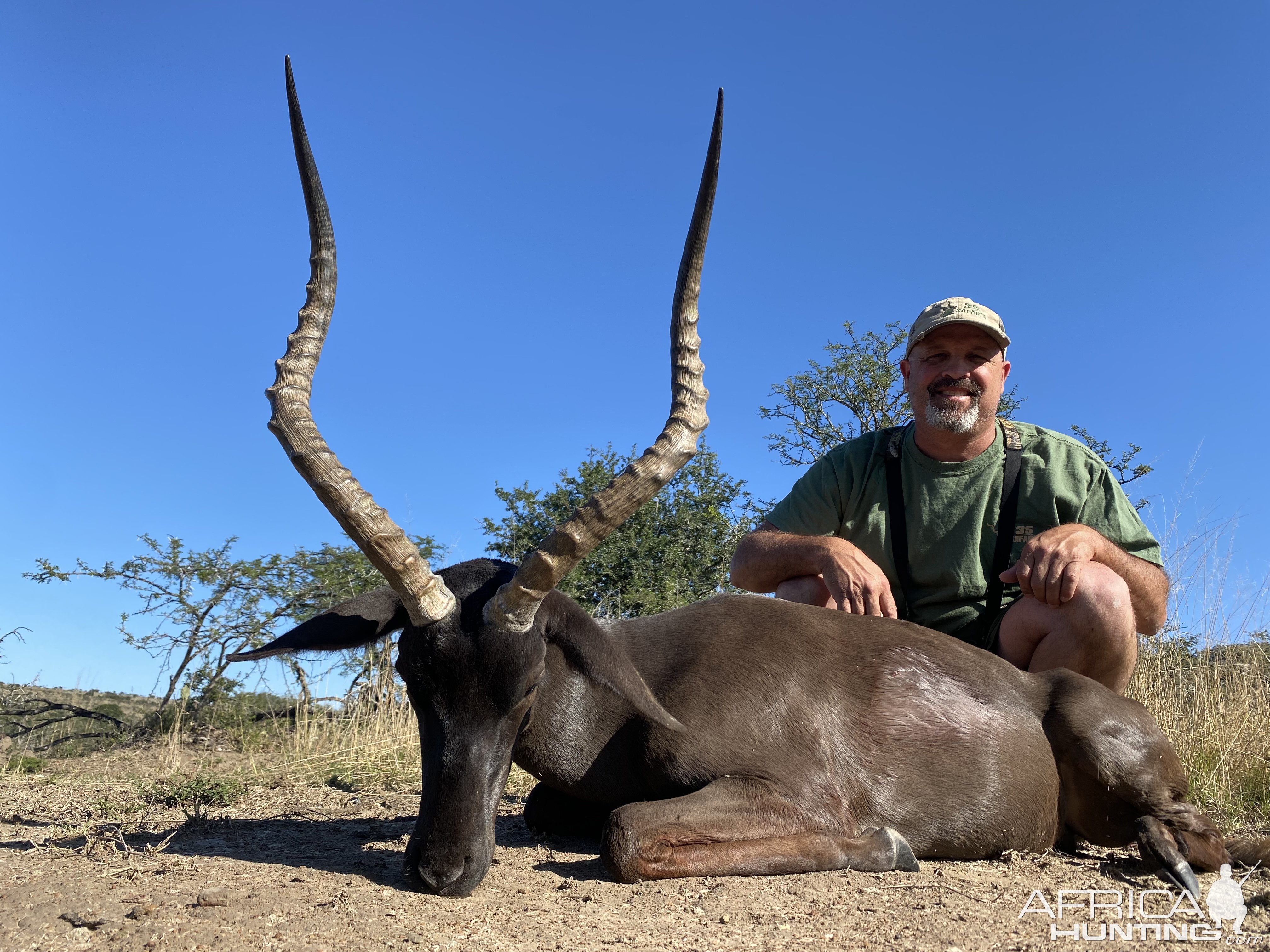 Hunting Black Impala