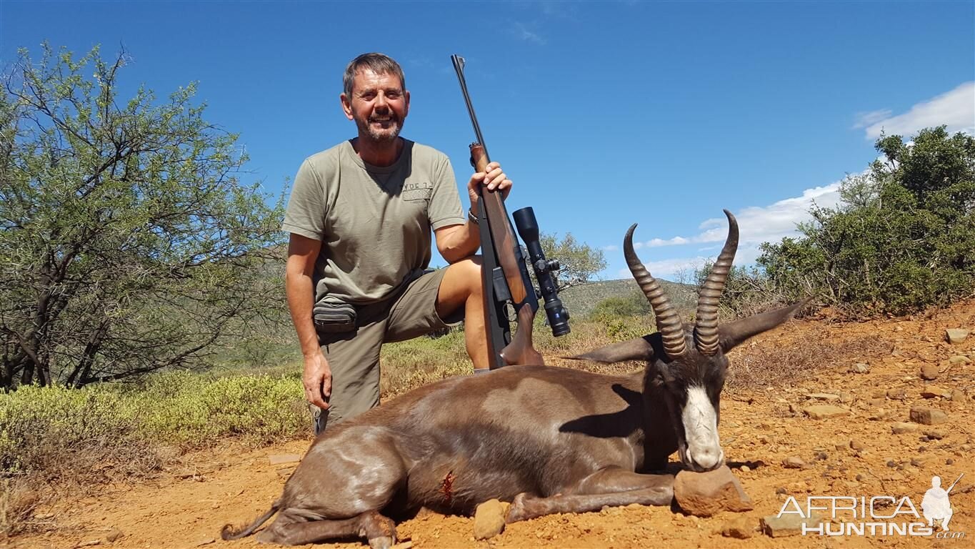 Hunting Black Springbok South Africa