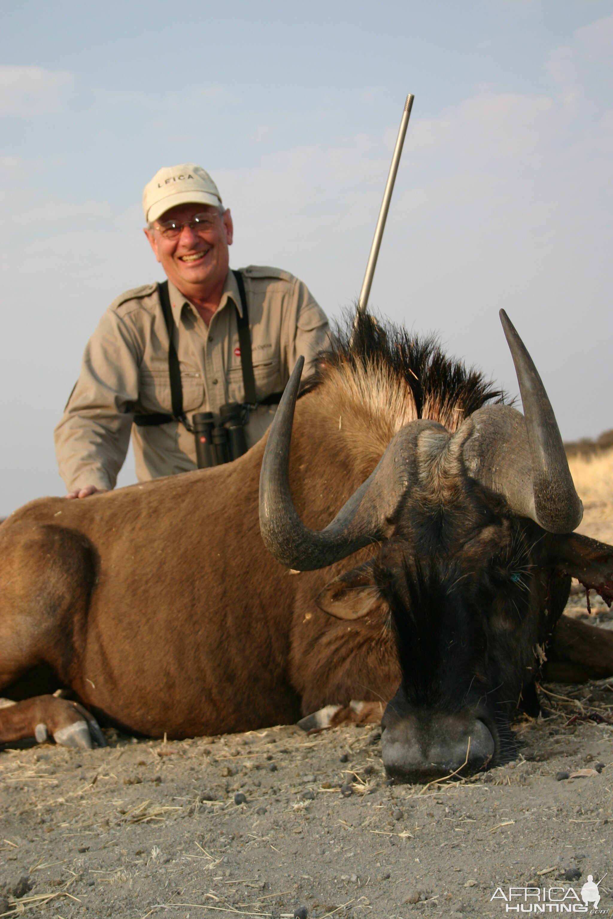 Hunting Black Wildebeest in Namibia