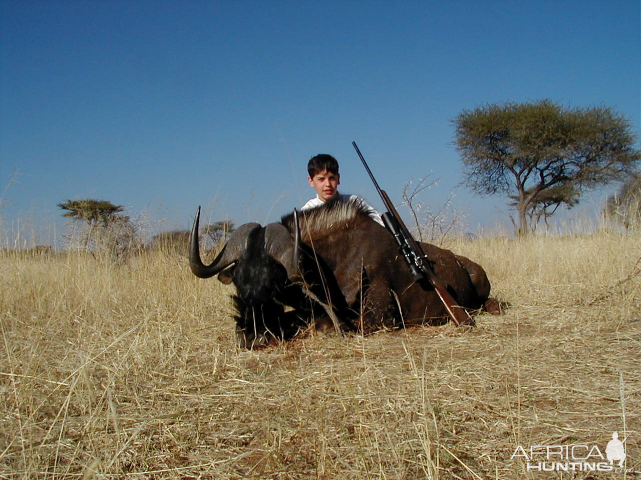 Hunting Black Wildebeest in Namibia