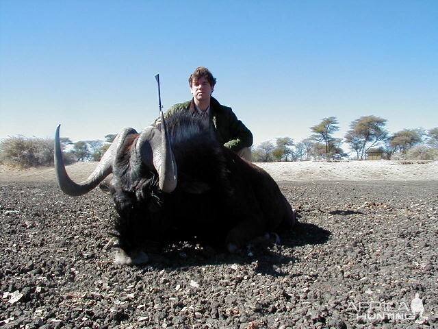 Hunting Black Wildebeest in Namibia