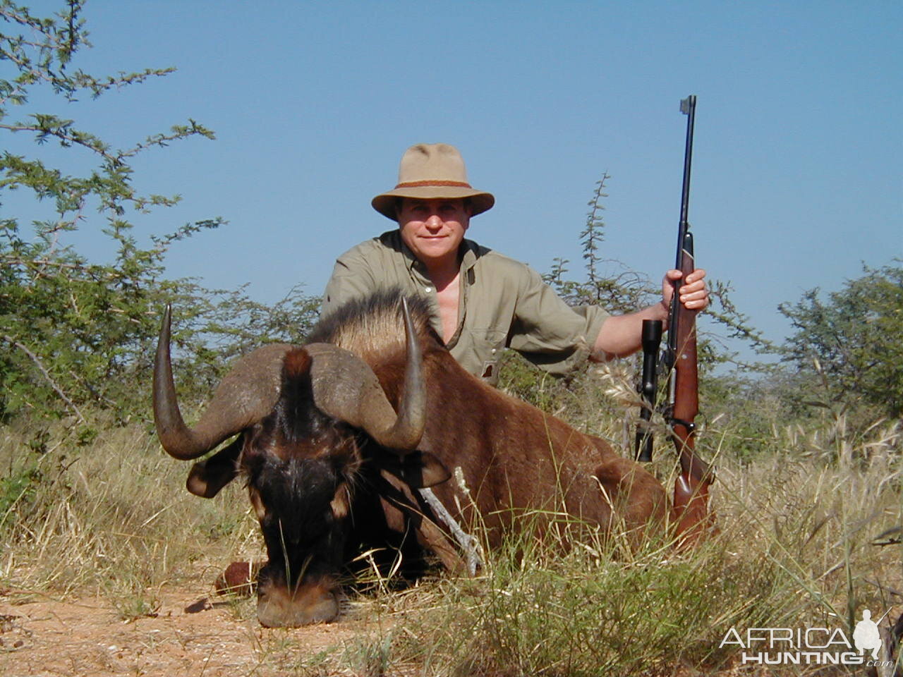 Hunting Black Wildebeest in Namibia