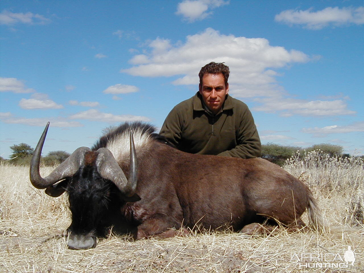 Hunting Black Wildebeest in Namibia