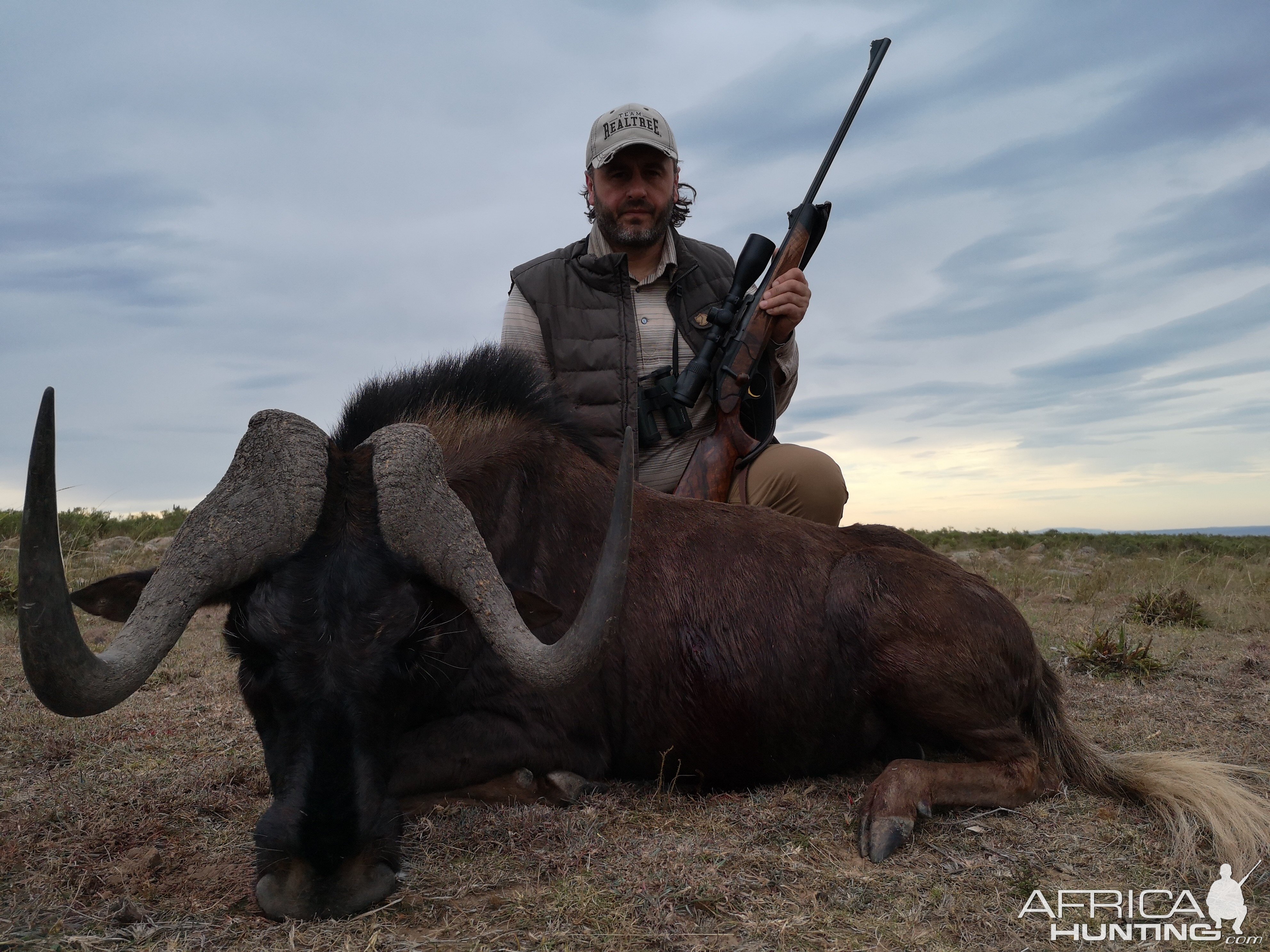 Hunting Black Wildebeest in South Africa