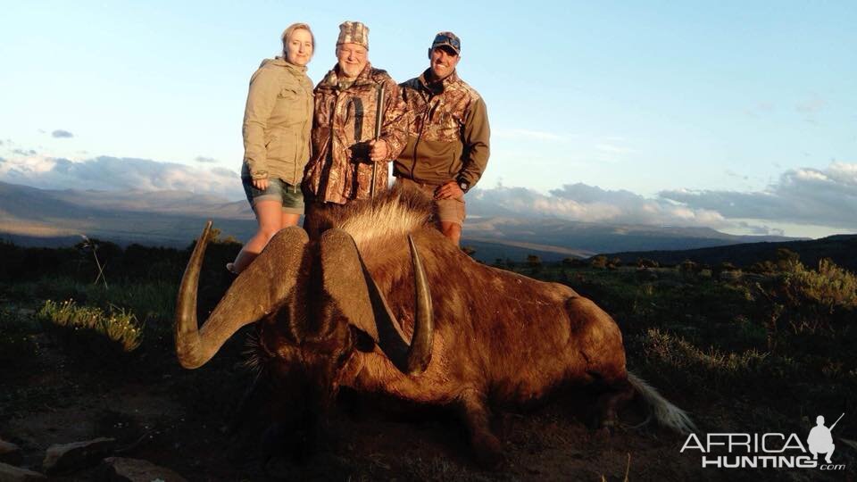 Hunting Black Wildebeest South Africa