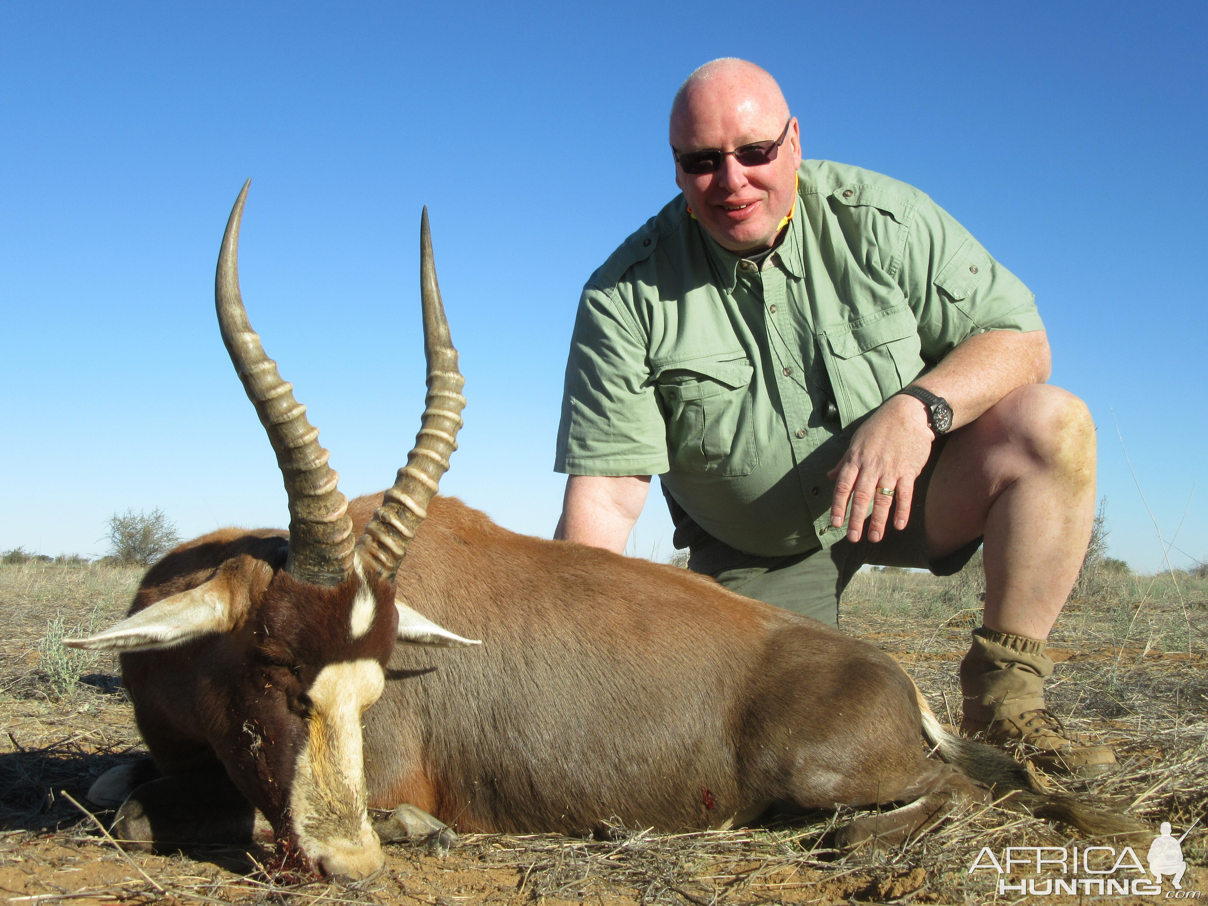 Hunting Blesbok in Namibia