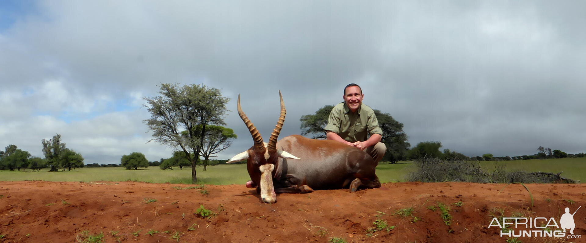 Hunting Blesbok South Africa