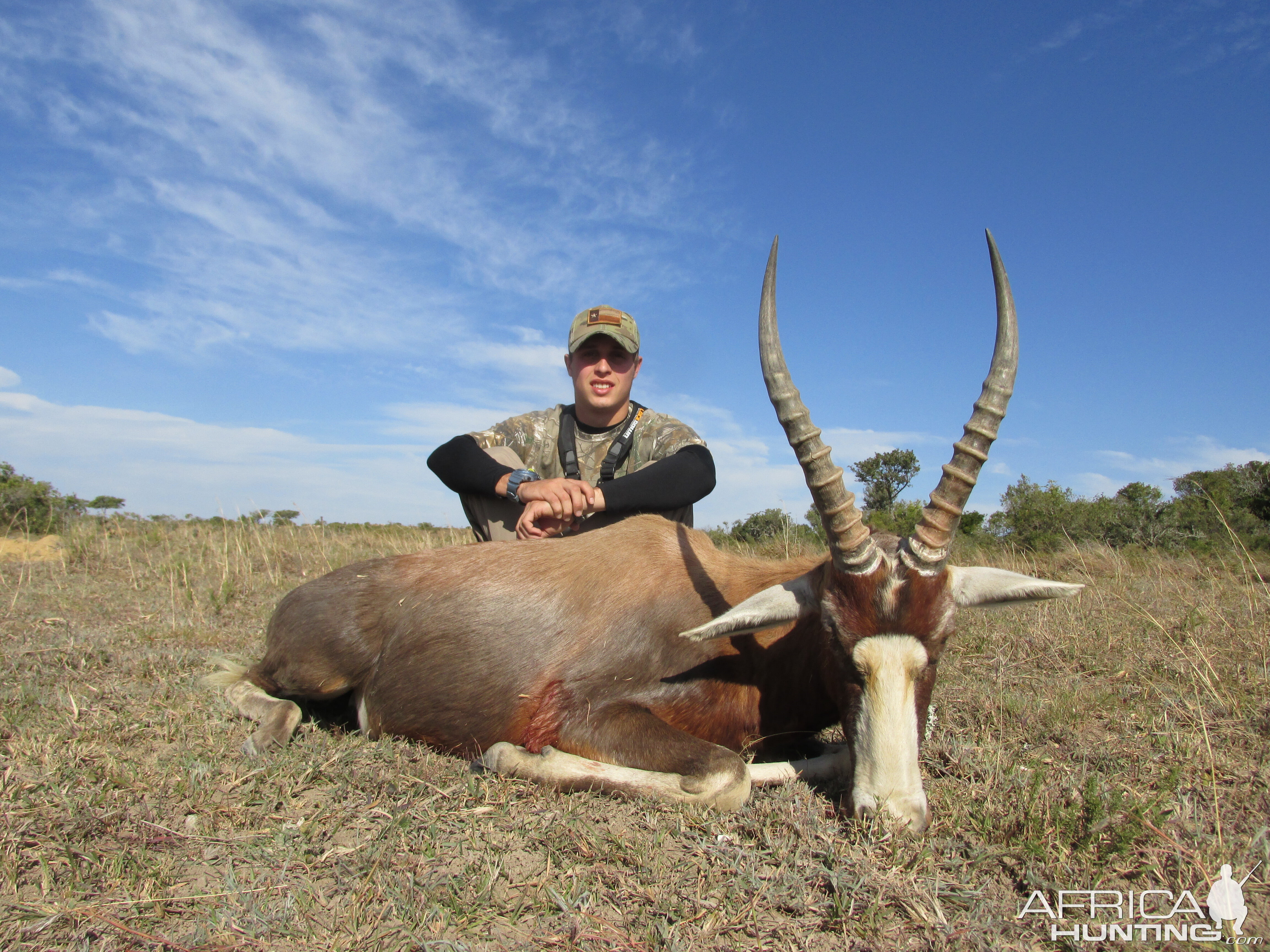 Hunting Blesbok South Africa