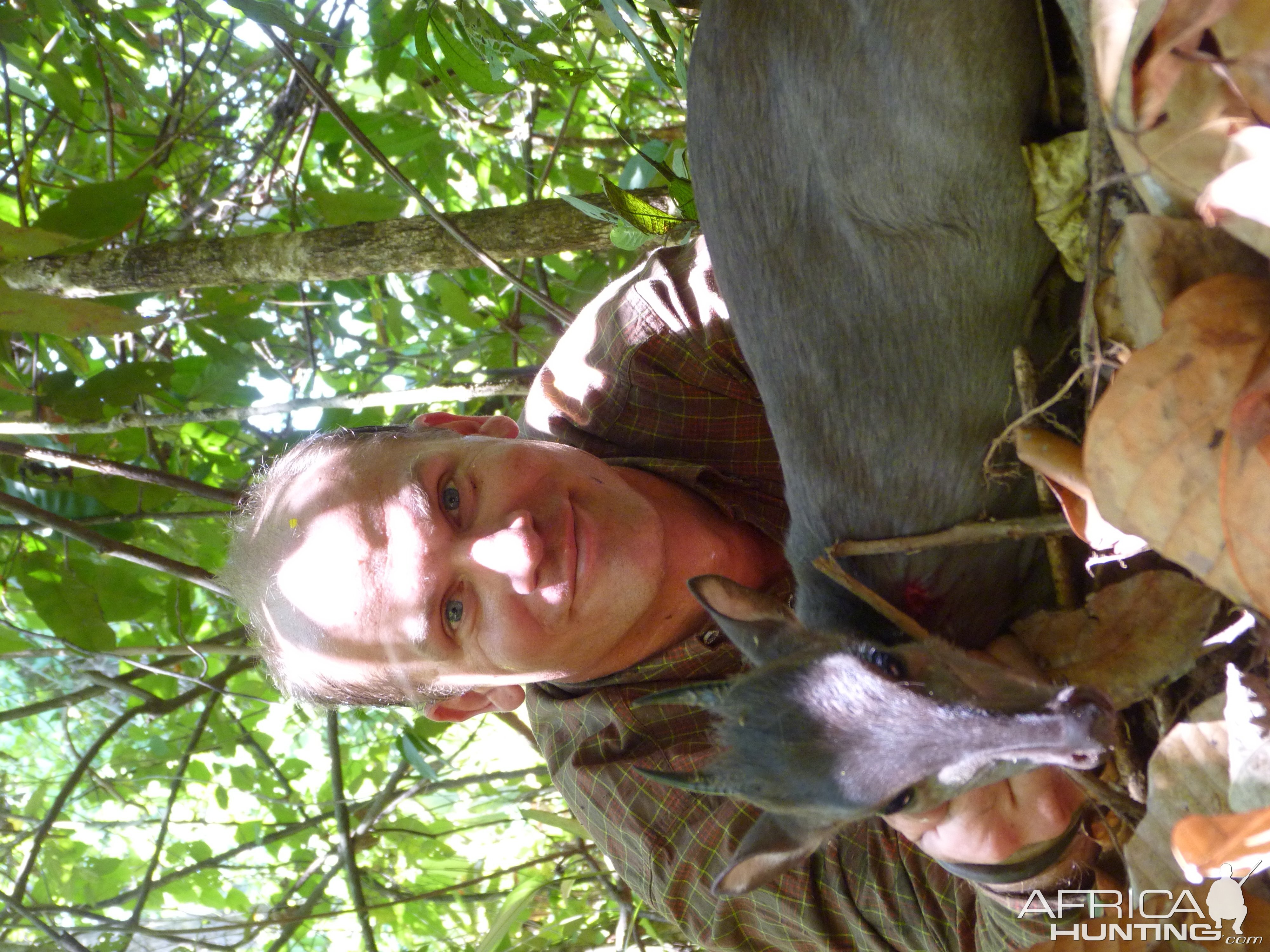 Hunting Blue Duiker in Central African Republic