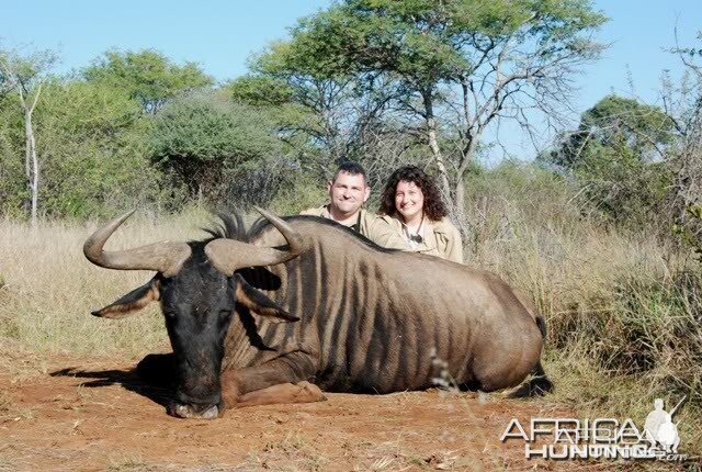 Hunting Blue Wildebeest in Limpopo South Africa