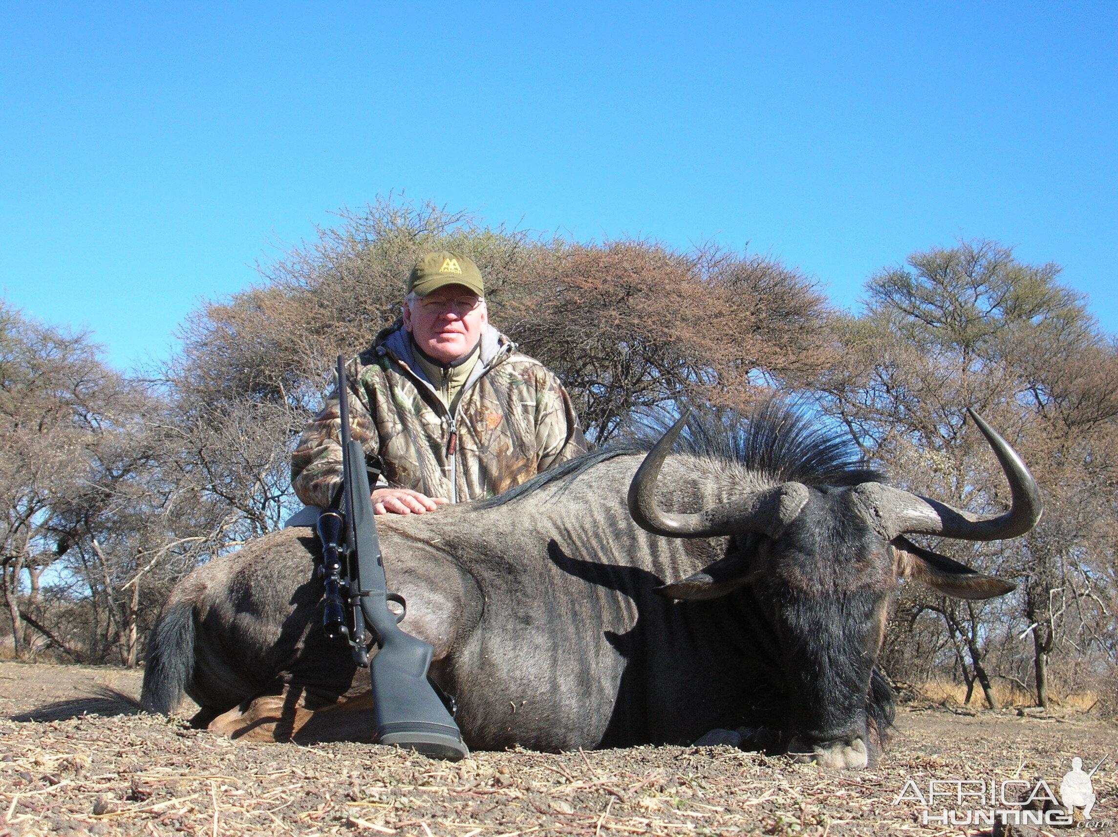 Hunting Blue Wildebeest in Namibia