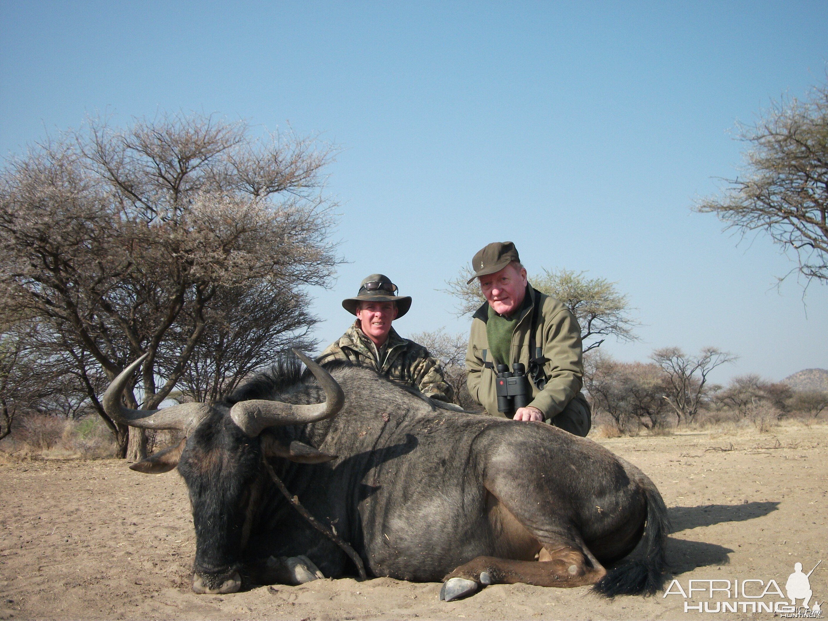 Hunting Blue Wildebeest in Namibia