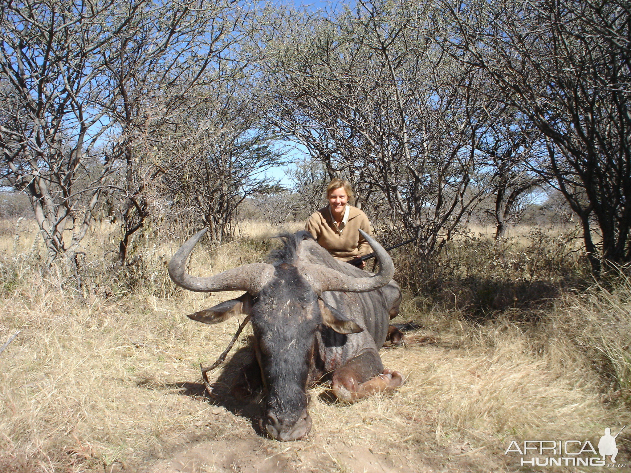 Hunting Blue Wildebeest in Namibia