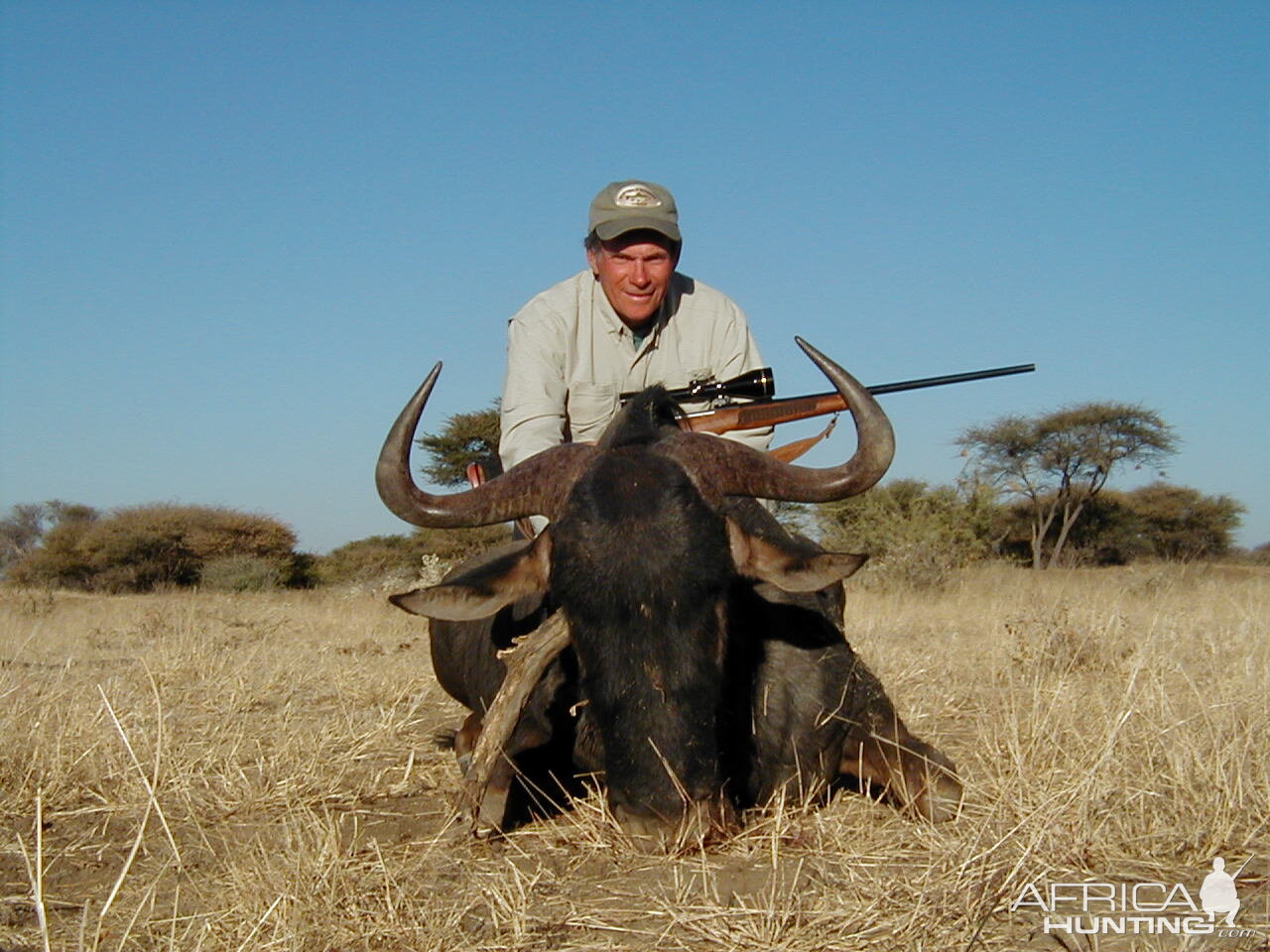 Hunting Blue Wildebeest in Namibia