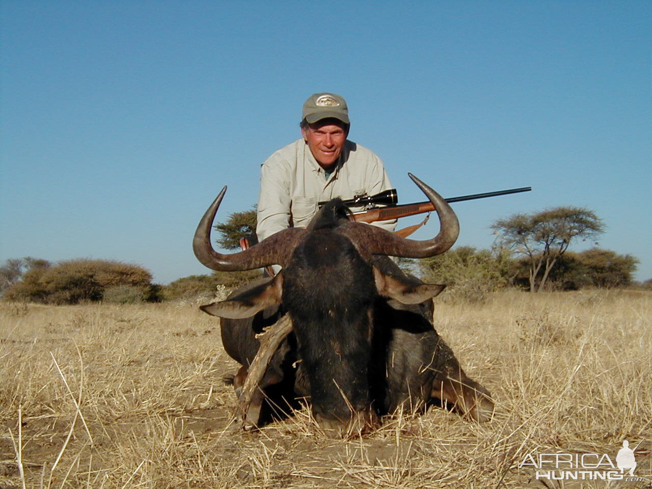 Hunting Blue Wildebeest in Namibia