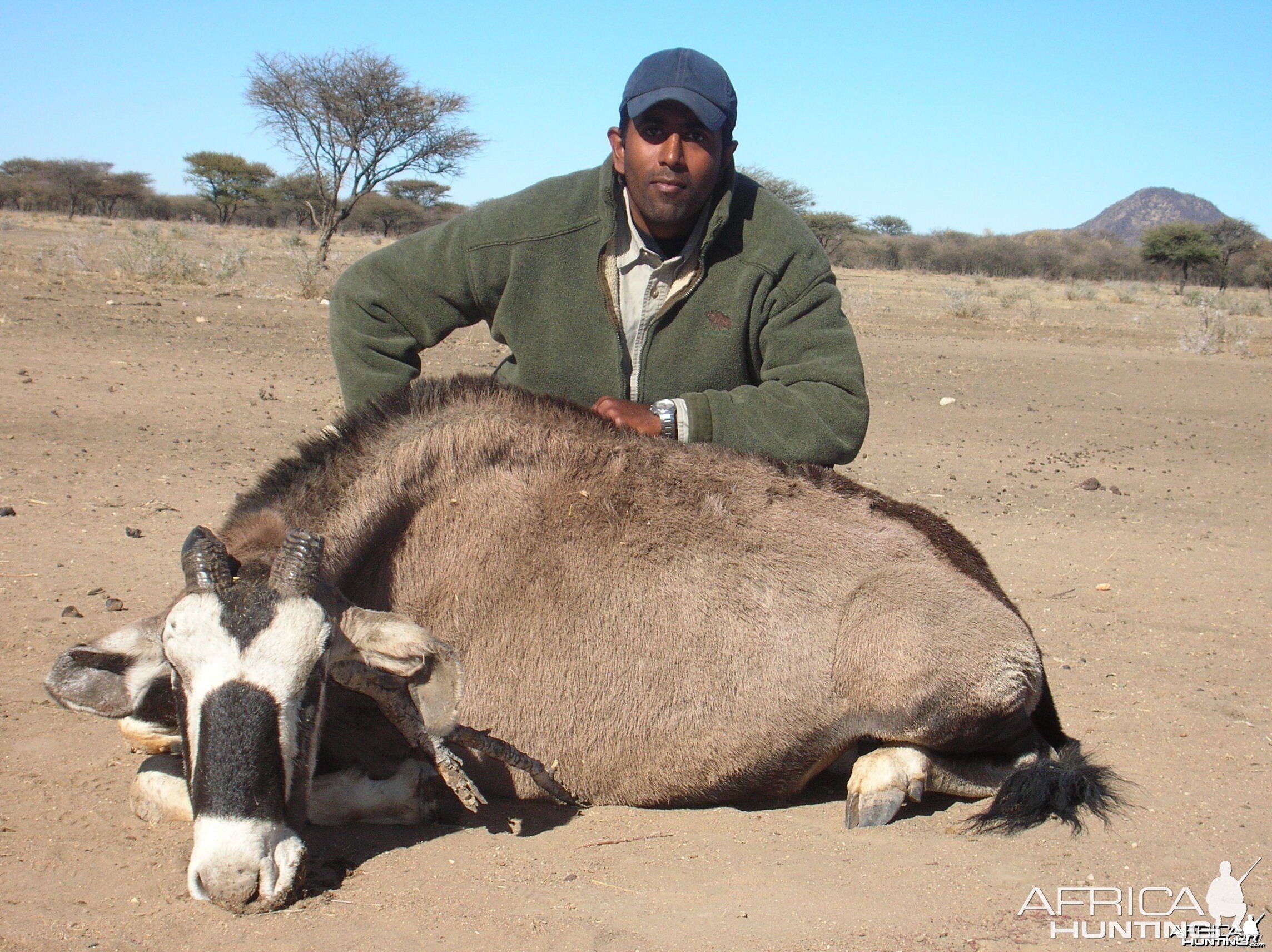 Hunting Blue Wildebeest in Namibia