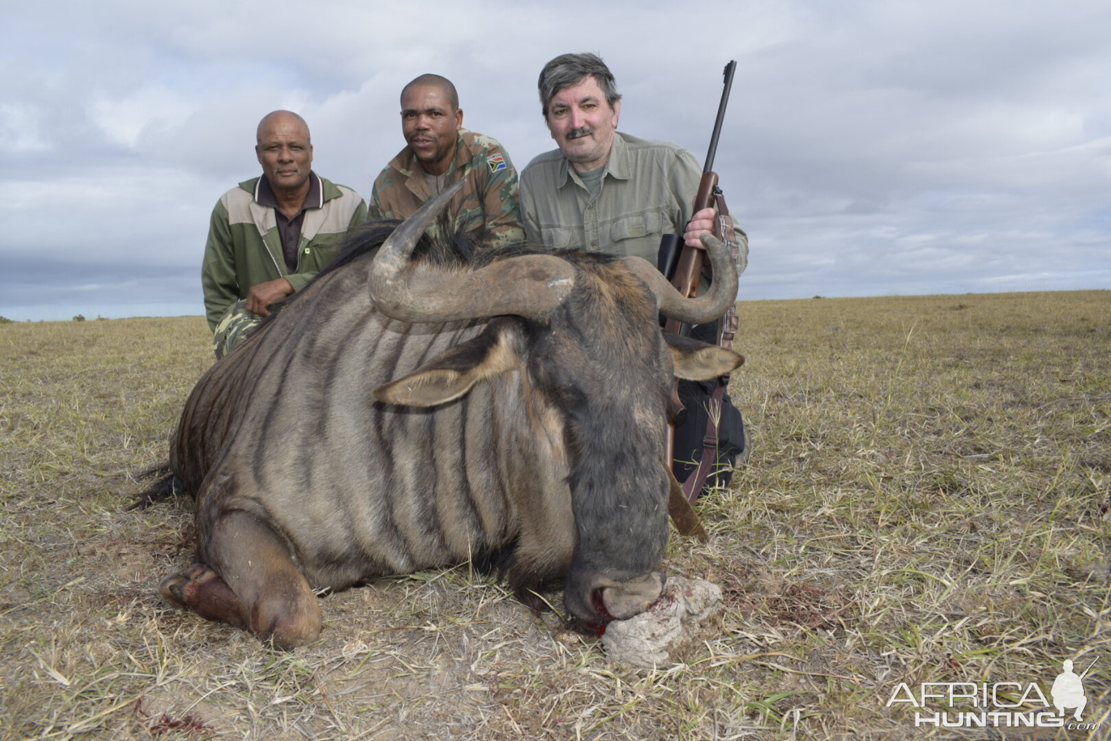 Hunting Blue Wildebeest in South Africa