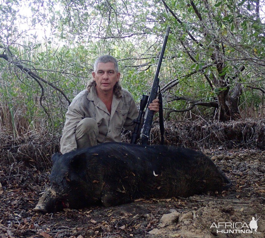 Hunting Boar in Australia