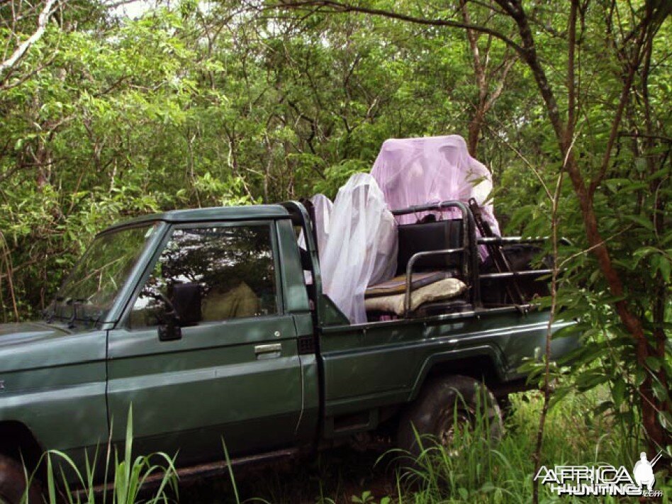 Hunting Bongo in CAR Rudy Lubin Safaris