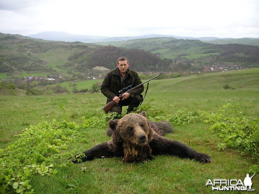 Hunting Brown Bear in Romania