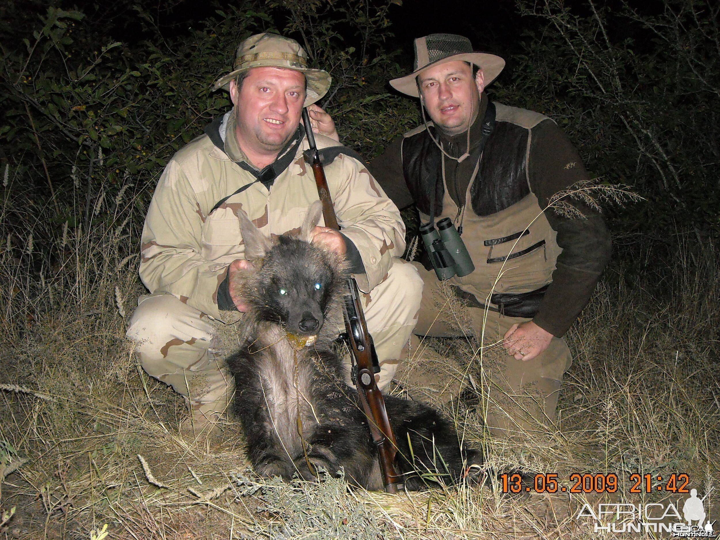Hunting Brown Hyena - Borris &  Jaaka Slovenia