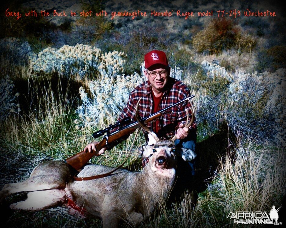 Hunting Buck