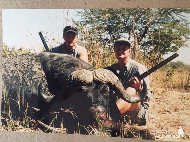 Hunting Buffalo Botswana