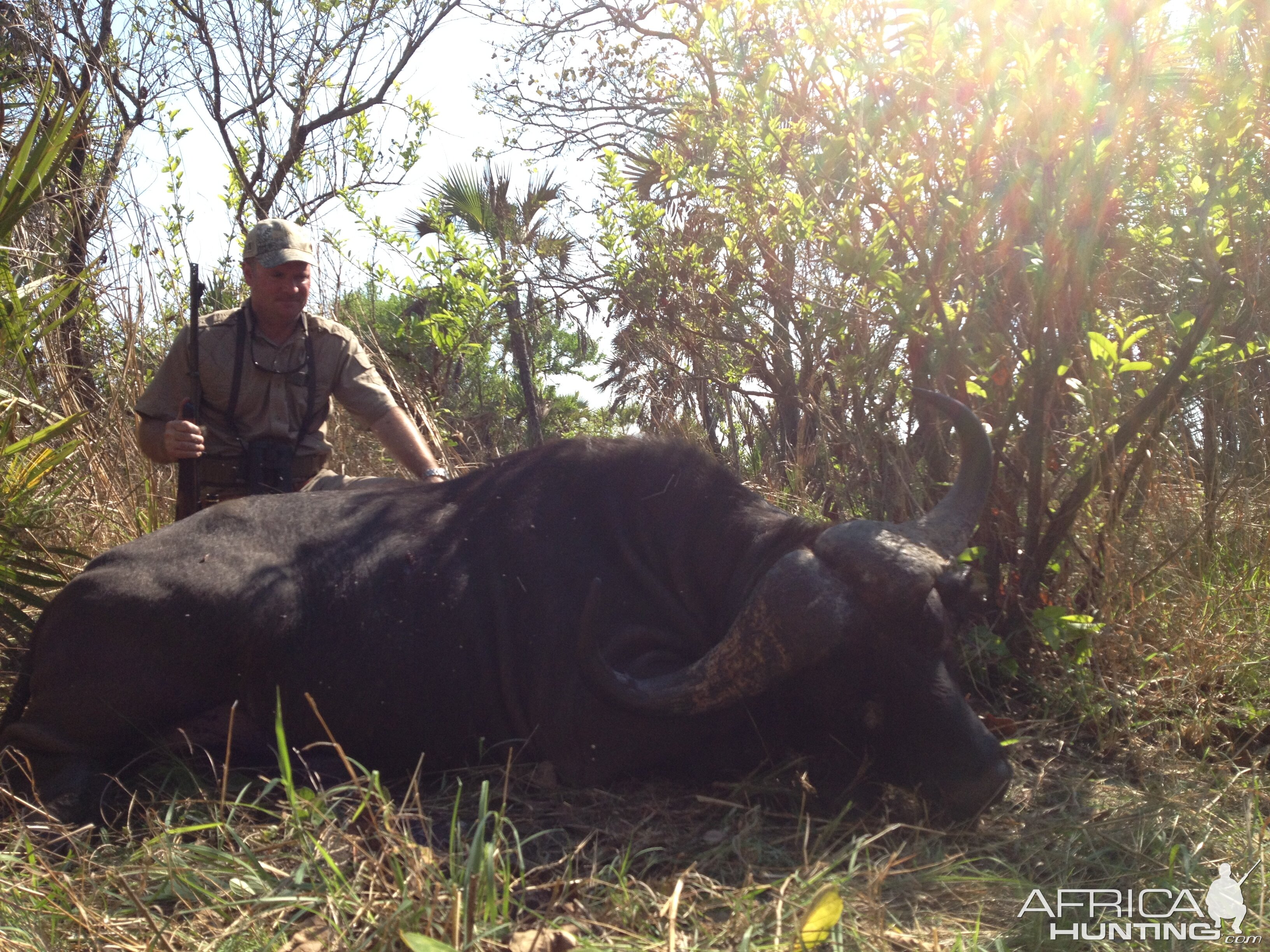 Hunting Buffalo in Mozambique