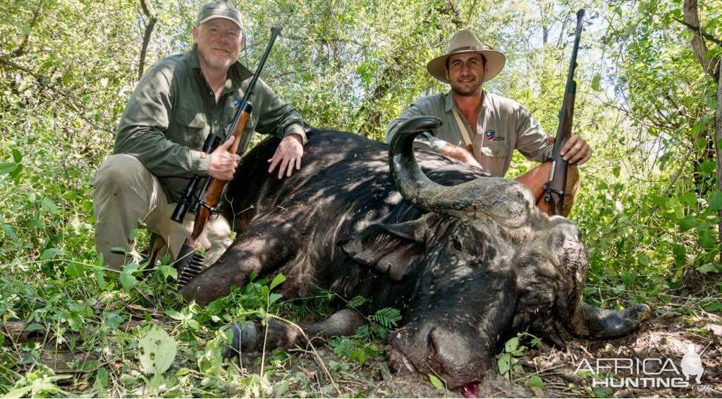 Hunting Buffalo in Namibia