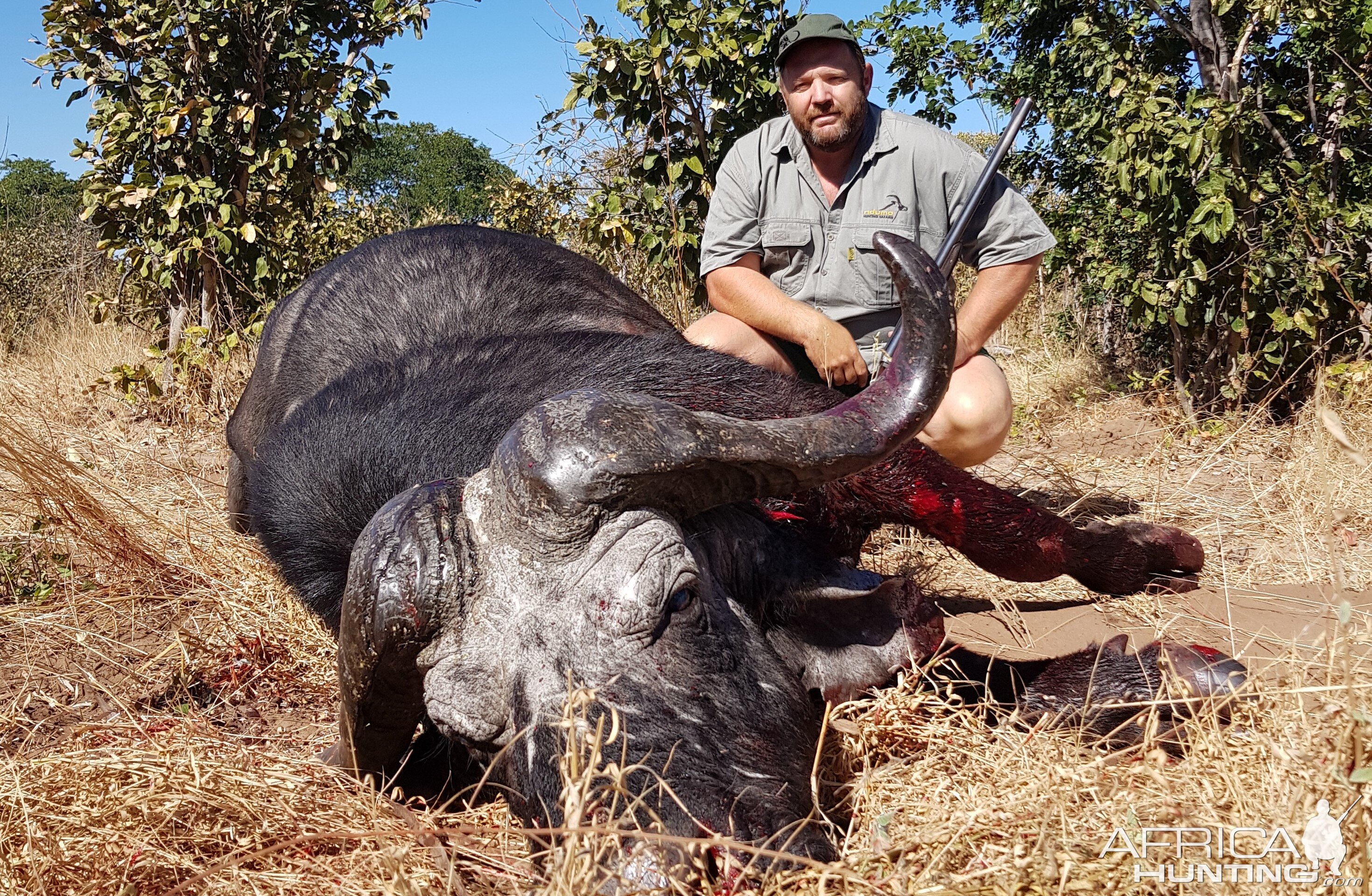 Hunting Buffalo in Namibia