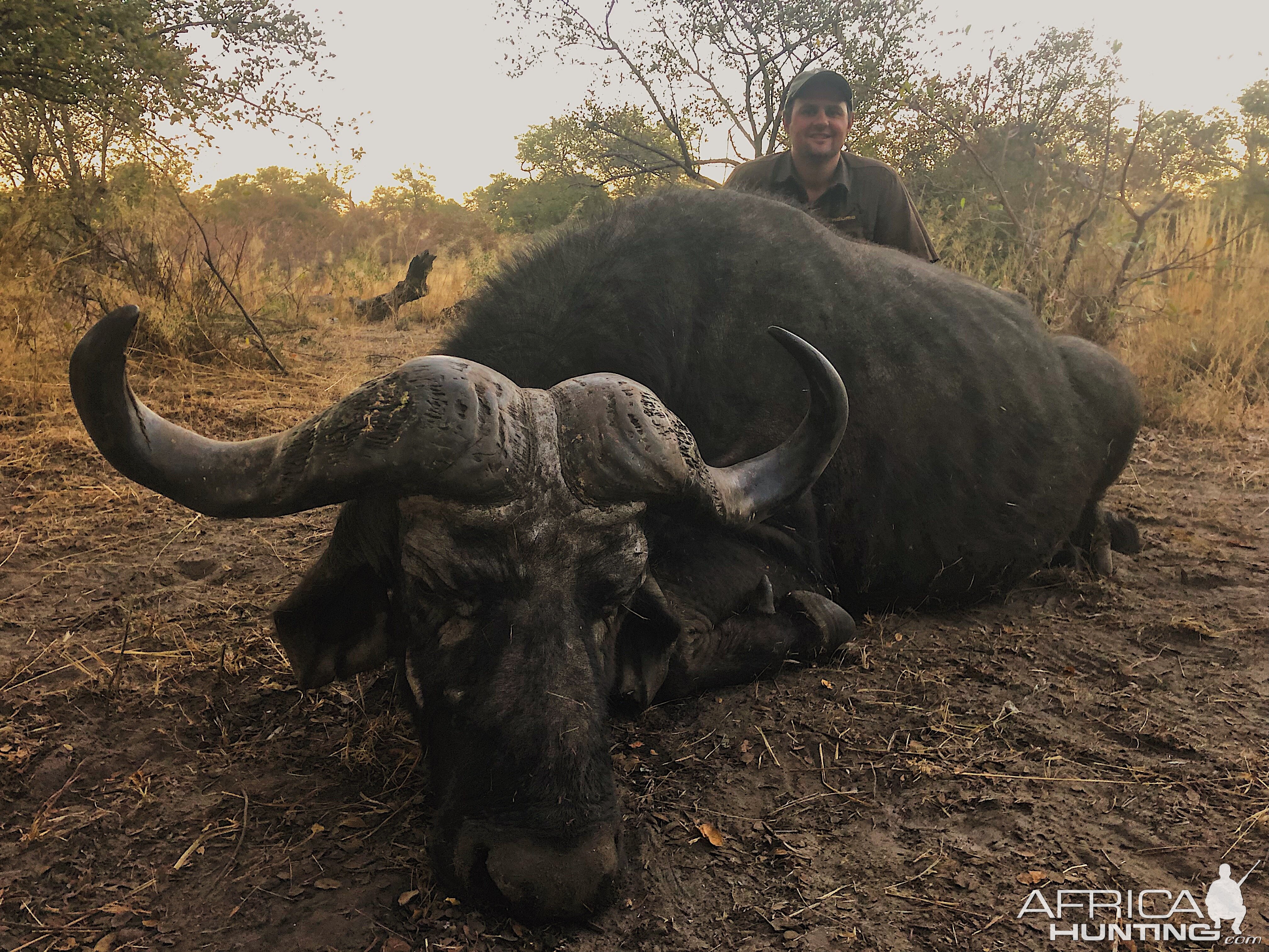 Hunting Buffalo in Namibia