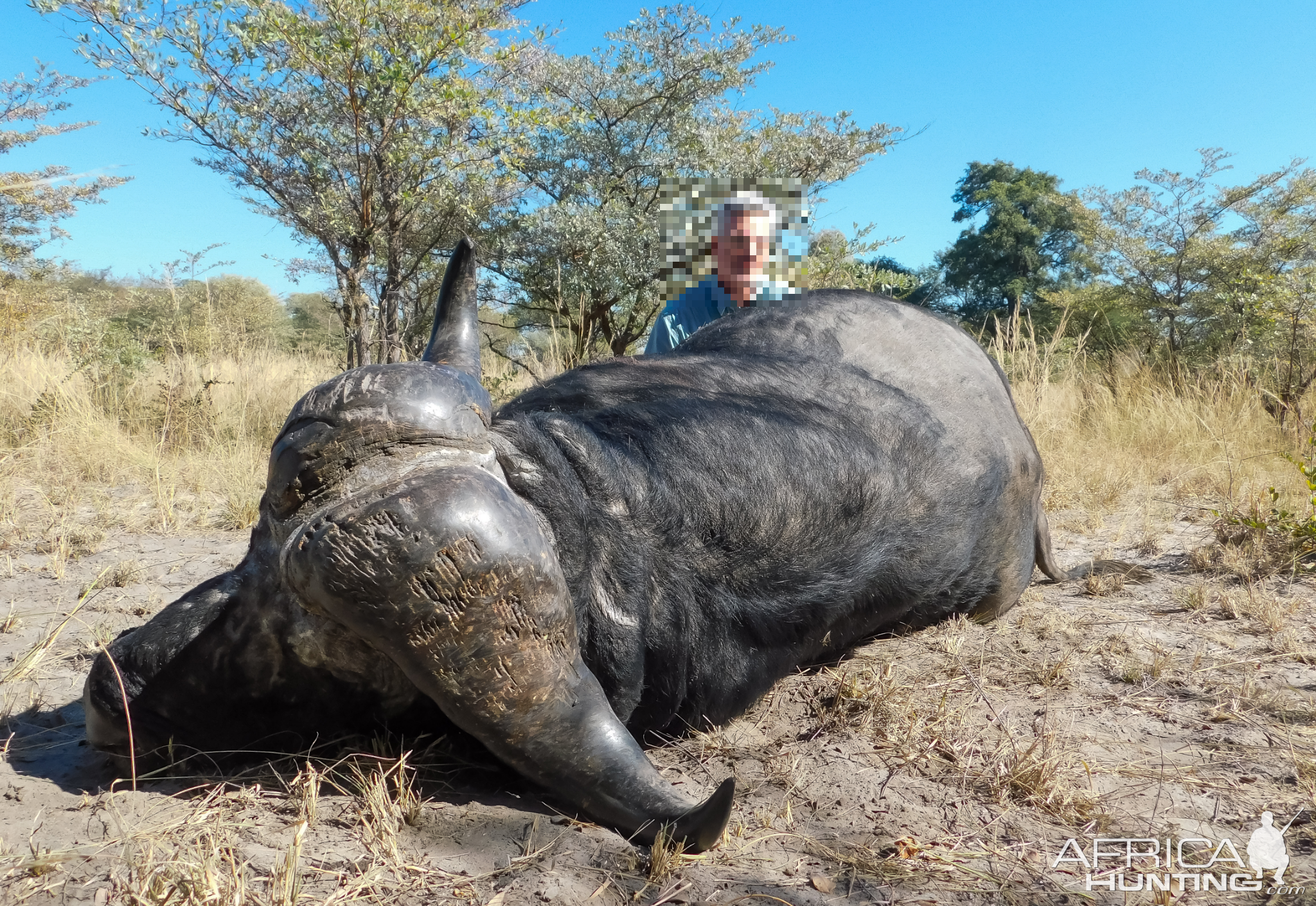 Hunting Buffalo in Namibia