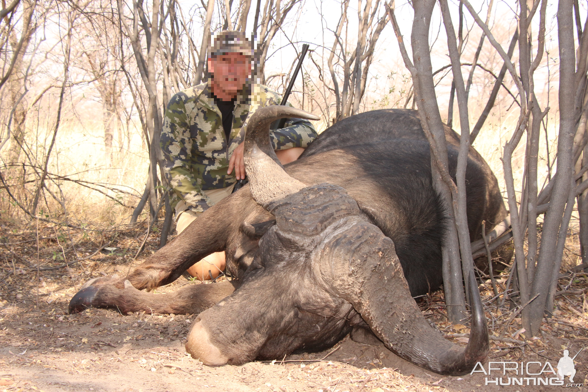 Hunting Buffalo in Namibia