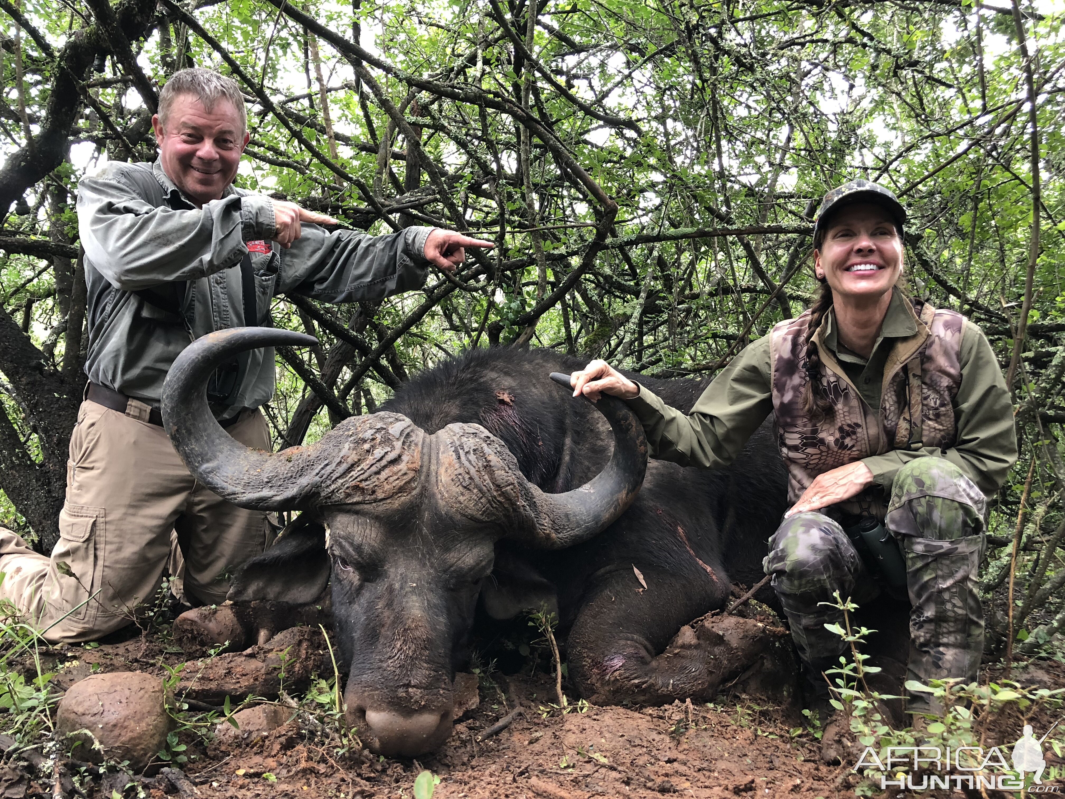 Hunting Buffalo in South Africa