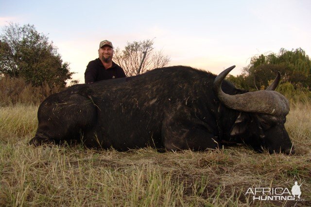 Hunting Buffalo in South Africa