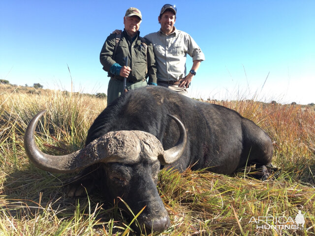 Hunting Buffalo in South Africa