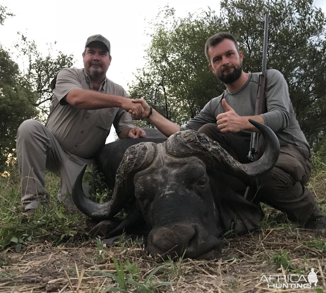 Hunting Buffalo in Zimbabwe