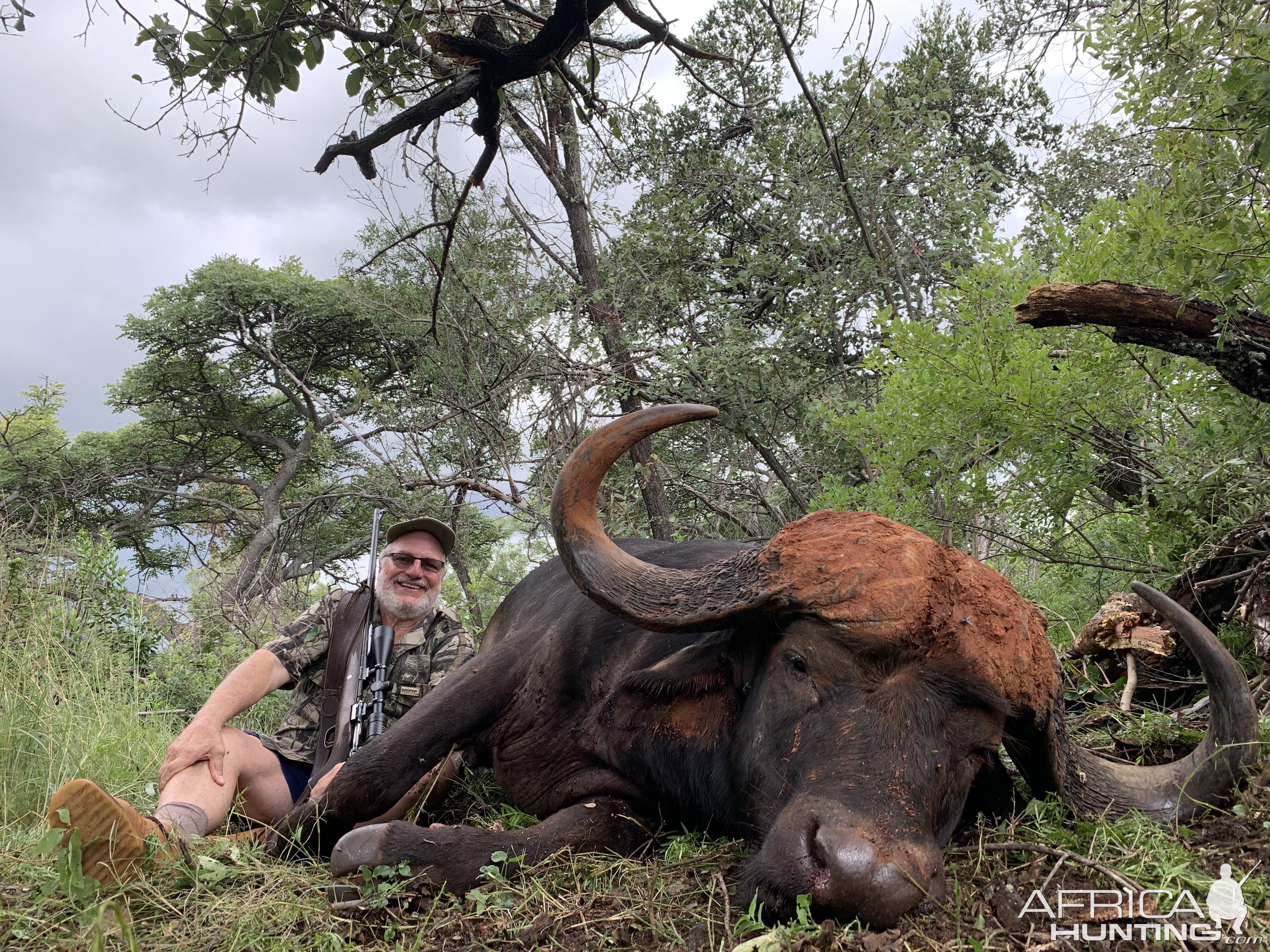 Hunting Buffalo South Africa