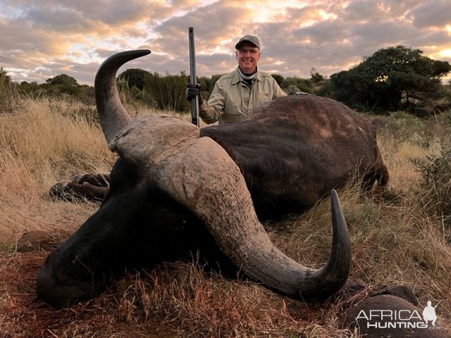 Hunting Buffalo South Africa