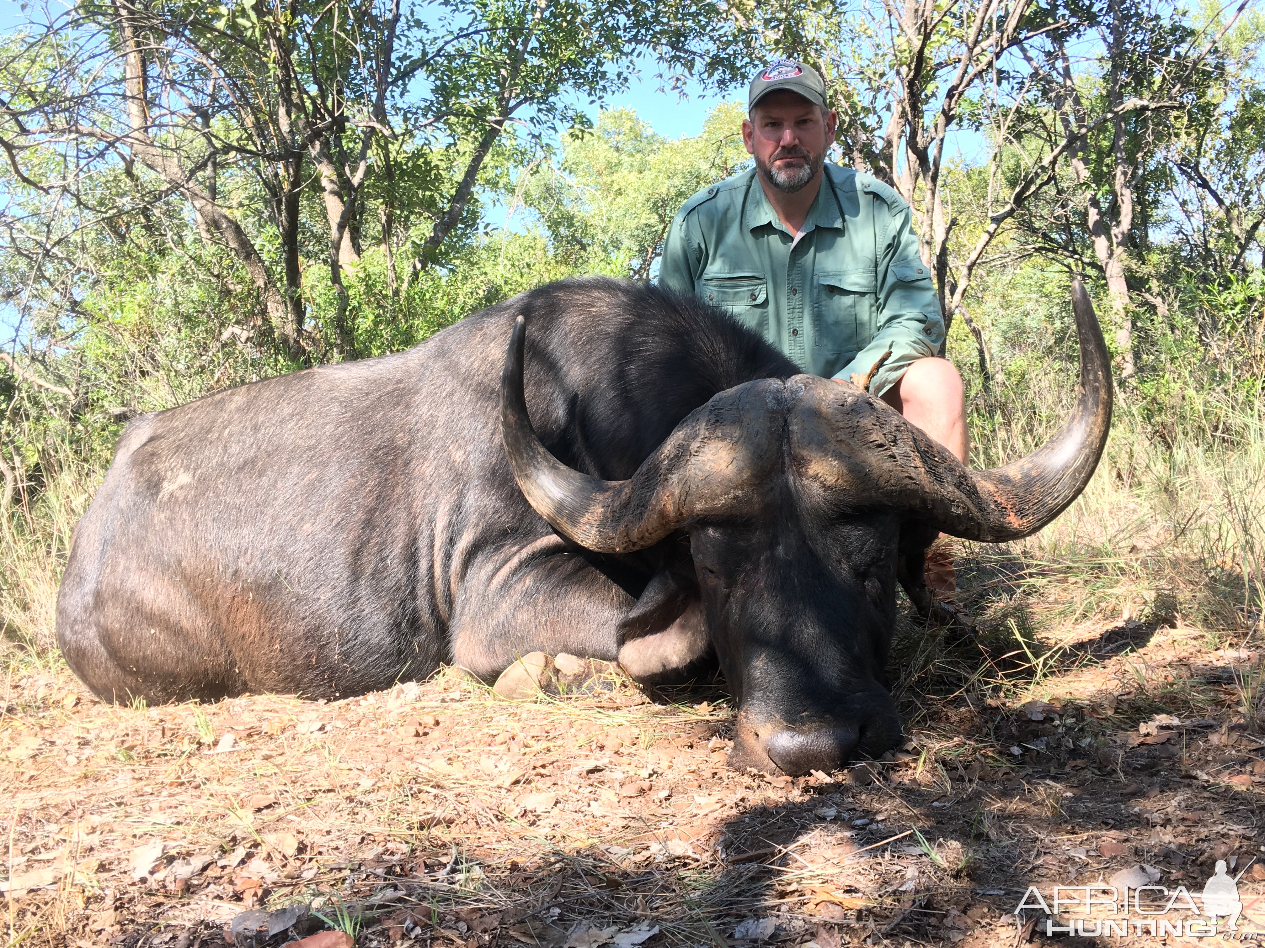 Hunting Buffalo South Africa