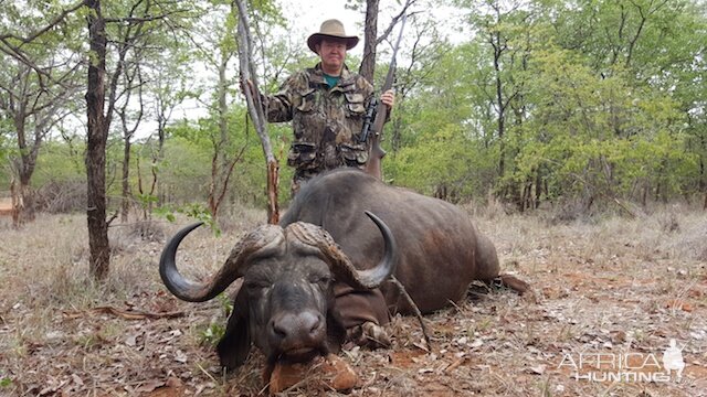 Hunting Buffalo South Africa