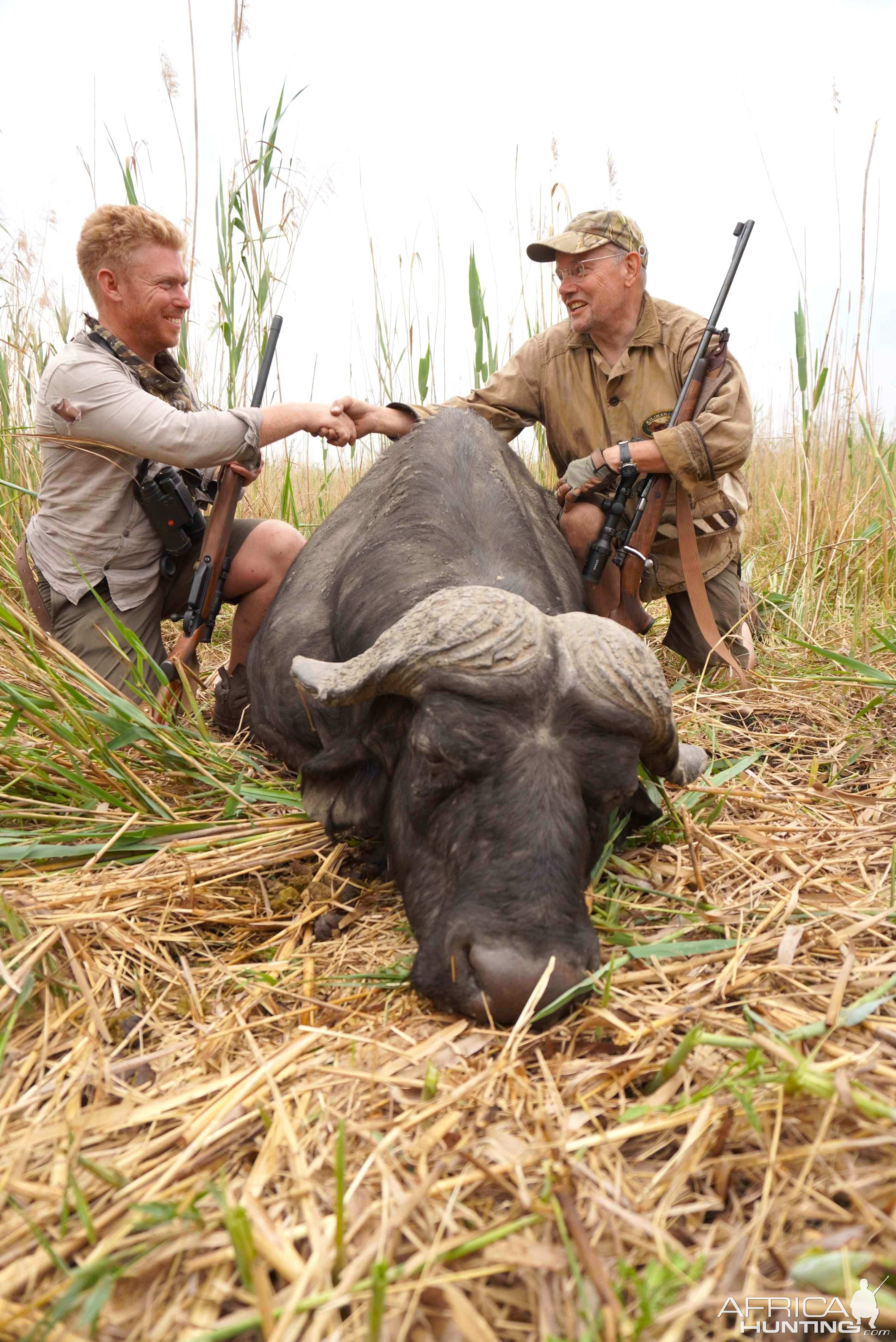 Hunting Buffalo With Scrum Cap In Nambia