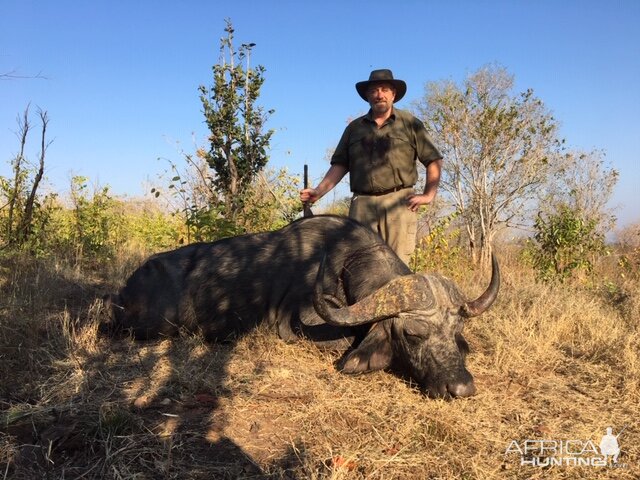 Hunting Buffalo Zimbabwe