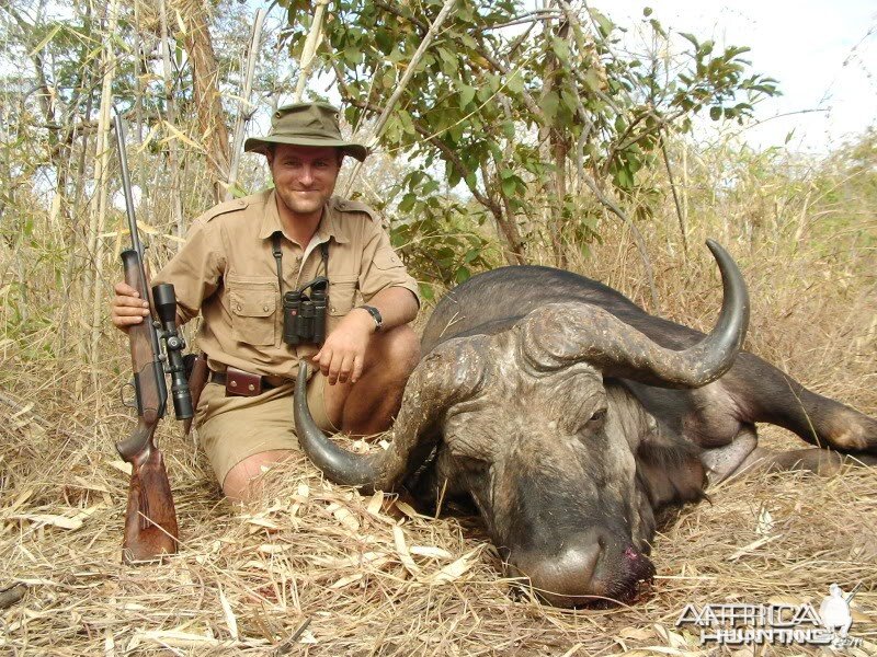 Hunting Buffalo