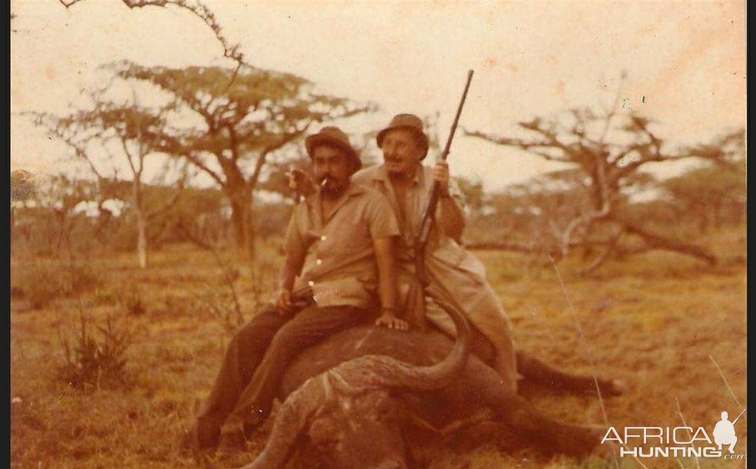 Hunting Buffalo