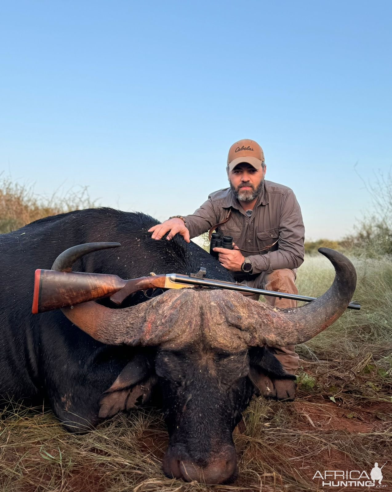 Hunting Buffalo