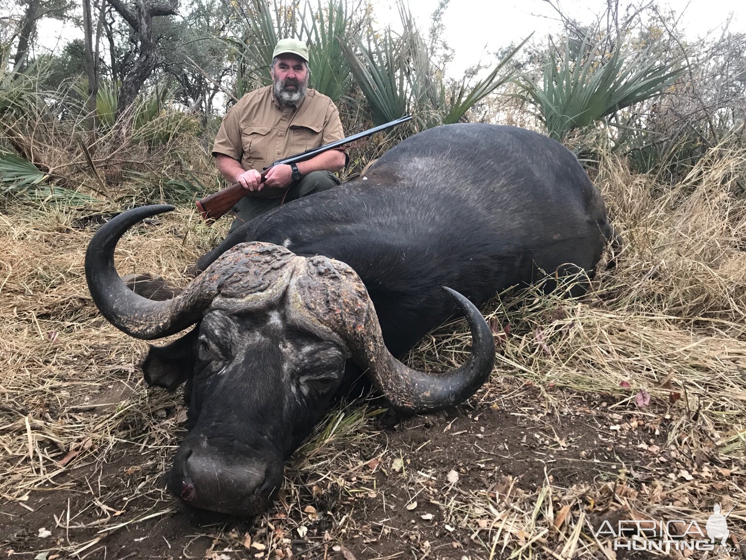 Hunting Buffalo