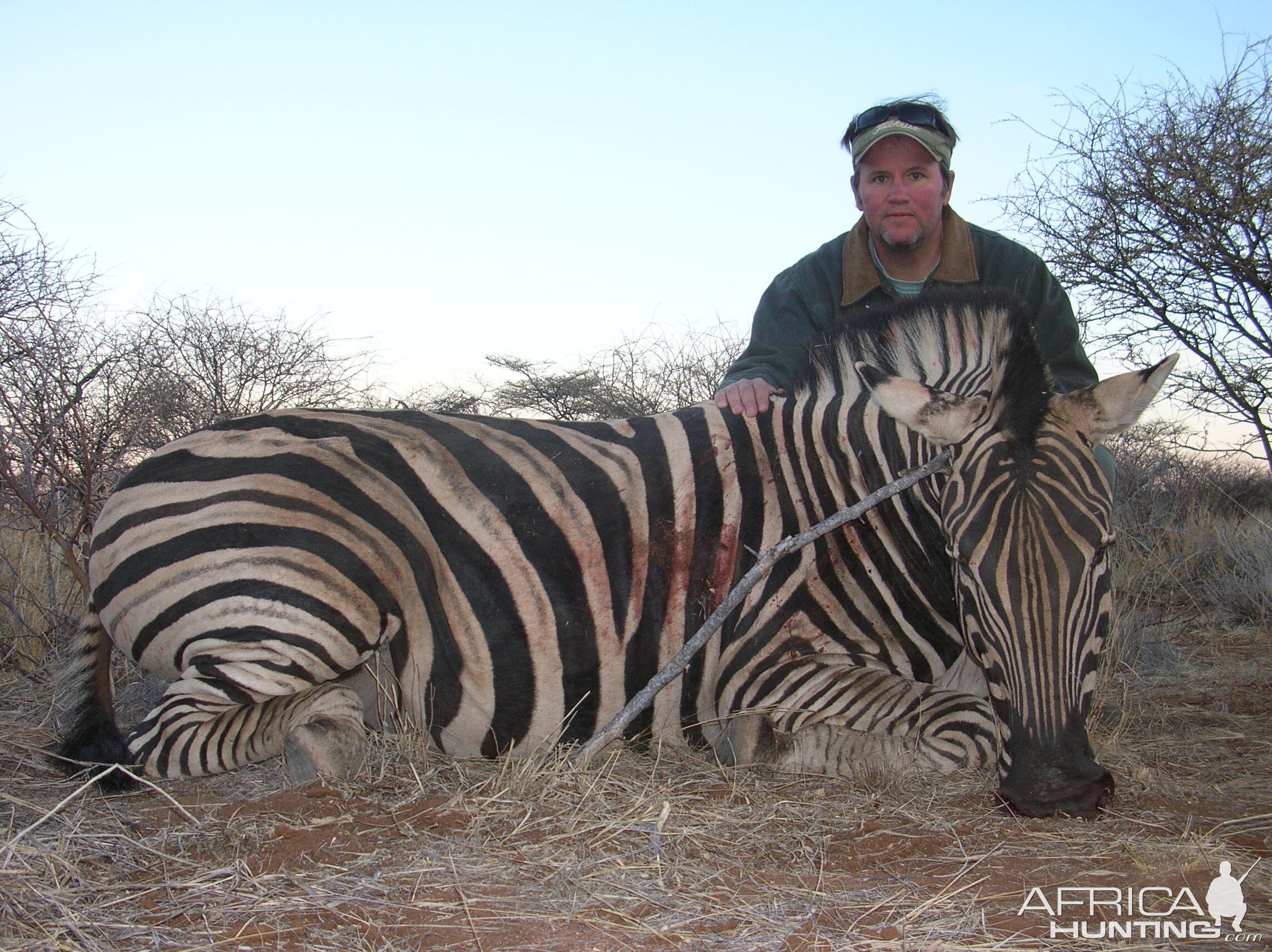 Hunting Burchell's Plain Zebra in Namibia