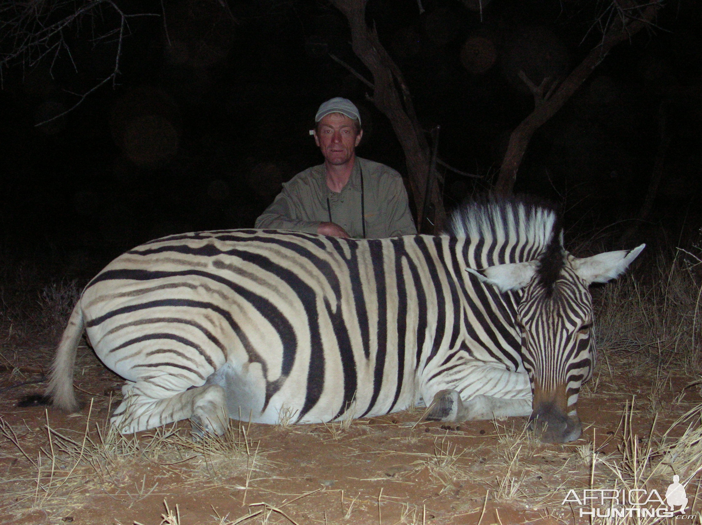 Hunting Burchell's Plain Zebra in Namibia